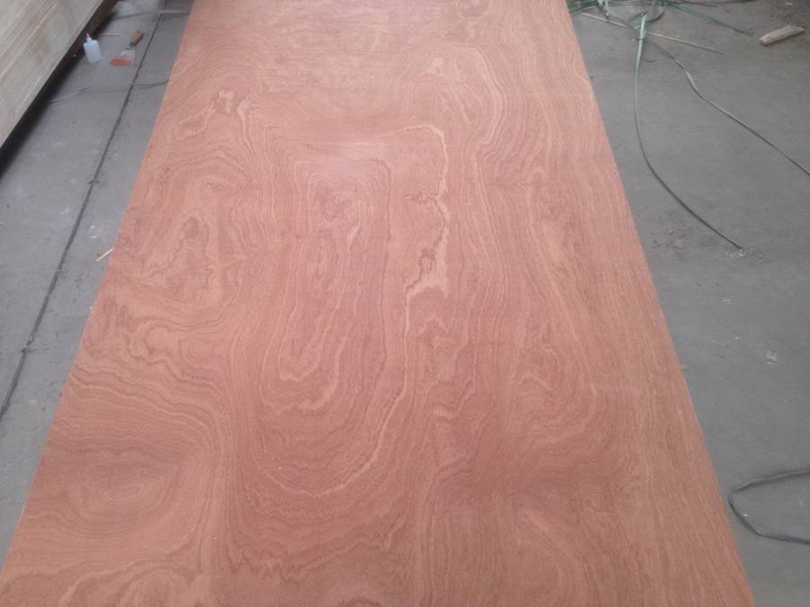 Sapelli faced plywood  Poplar, Combi core