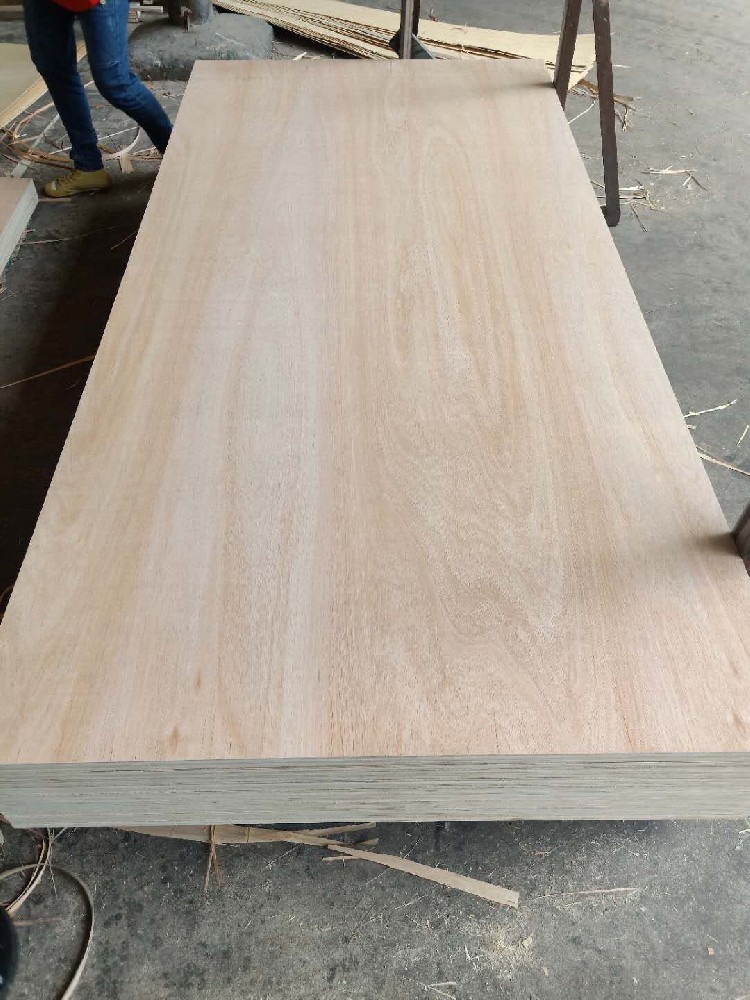 Eucalyptus faced plywood  Poplar, Combi core